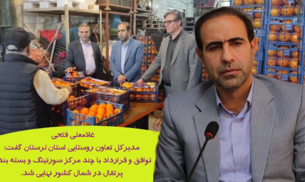 توافق و قرارداد با چند مرکز سورتینگ و بسته بندی پرتقال در شمال کشورجهت تنظیم بازارشب عیدنهایی شد